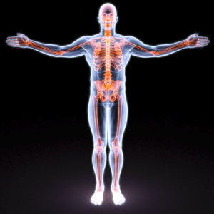 skeleton